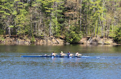 IMG_5485 (2)